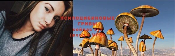 МДМА Инсар