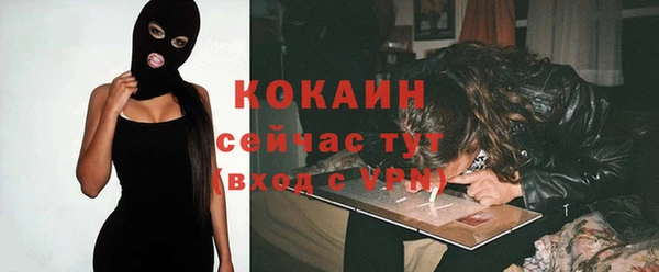 mdpv Инта